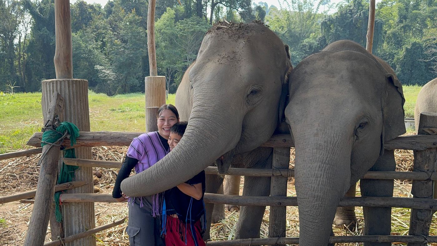 Two elephants leaning over a wooden rail while a woman and boy laugh beside them