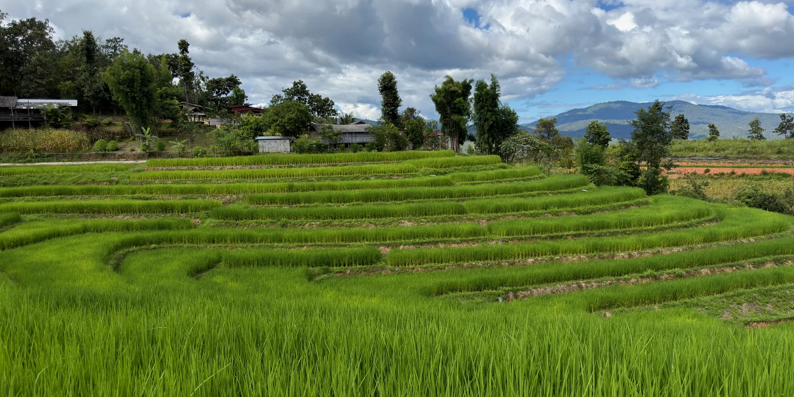 Curved rice terraces below the village under a bright, cloudy sky