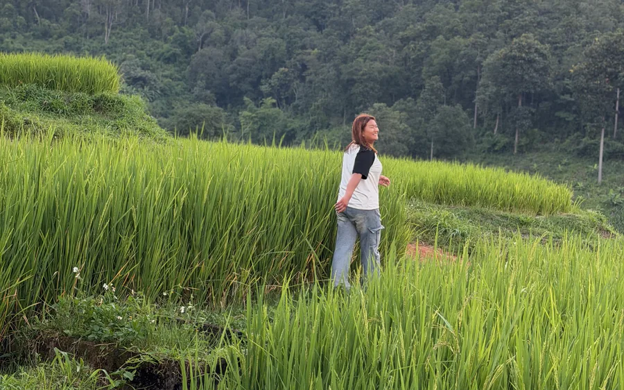 A villager walking through vivid green rice-field paths
